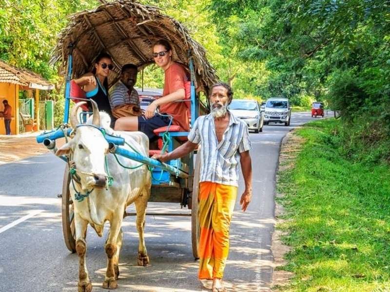 Village Tours in India